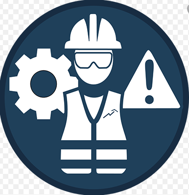 seguridad integral
